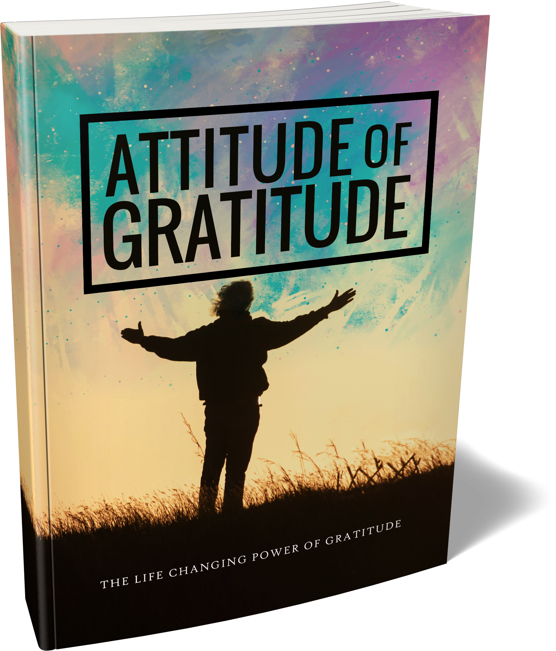 Attitude For Gratitude